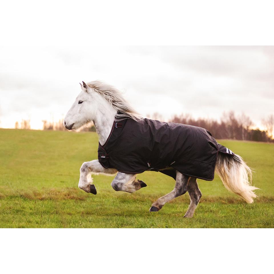 Vad är ett bra hästtäcke?