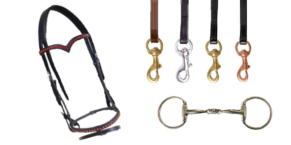 Träns, tyglar & tömmar