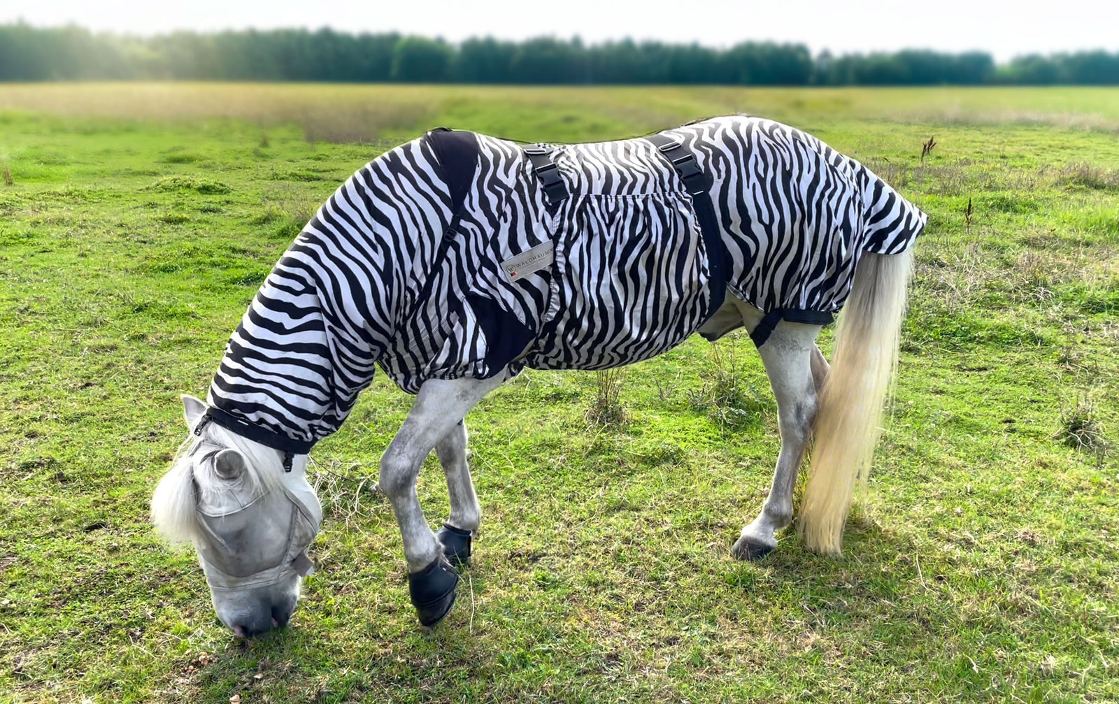 Checklista eksemtäcke