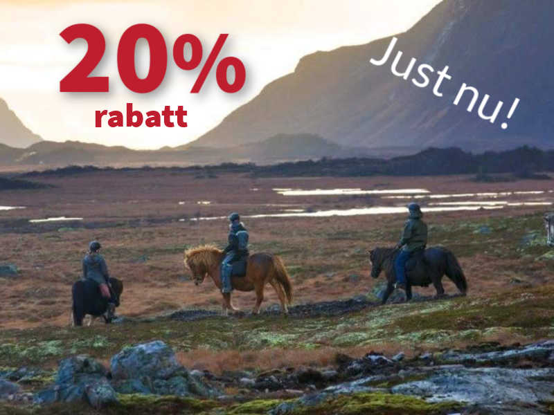 Jodphursridbyxor från ELT till kampanjpris
