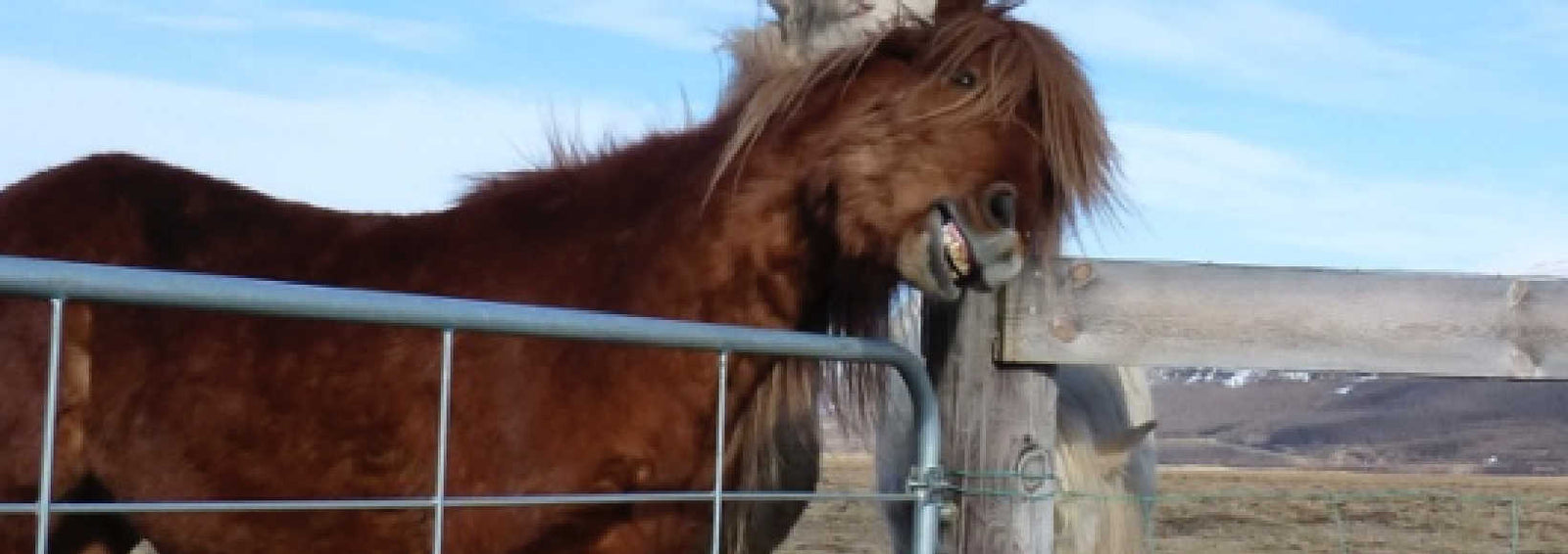 Förebygg, förhindra  och lindra sommareksem