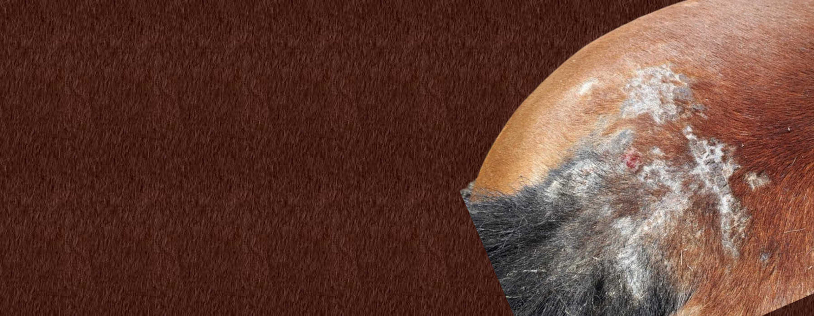 Vård och lindring när eksem och hudirritationer redan uppstått