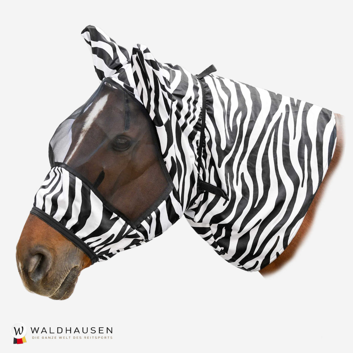 Eksemhuva Zebra Waldhausen