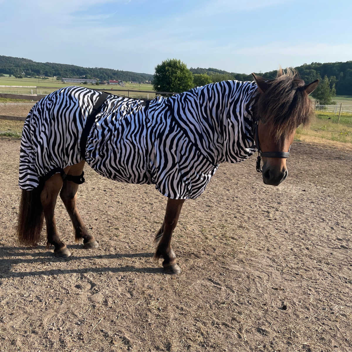 Eksemdekke HorseGuard Zebra