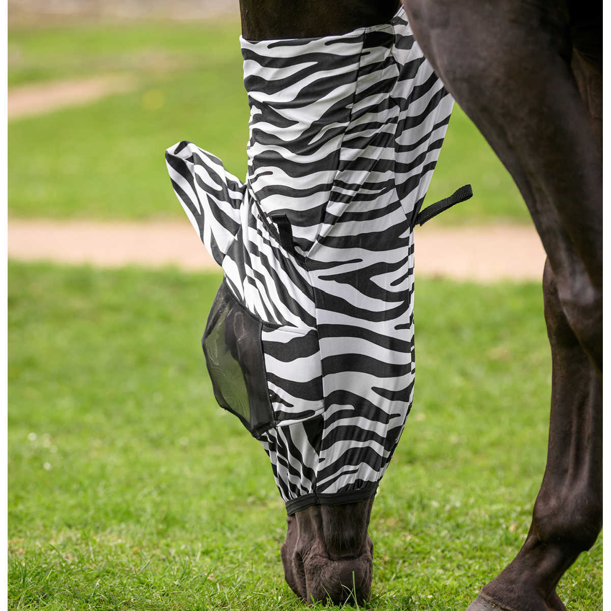 Eksemhuva Zebra Waldhausen