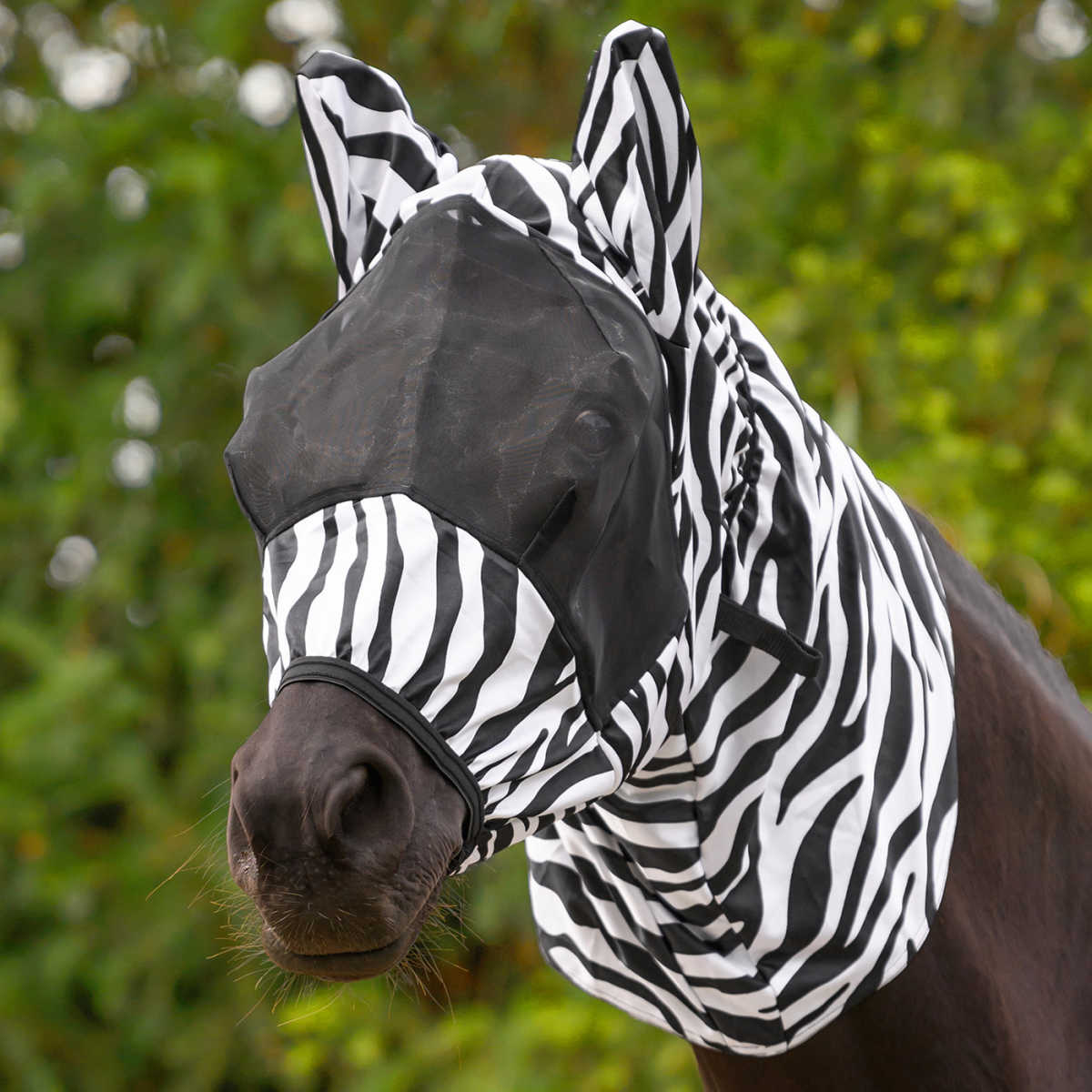 Eksemhuva Zebra Waldhausen