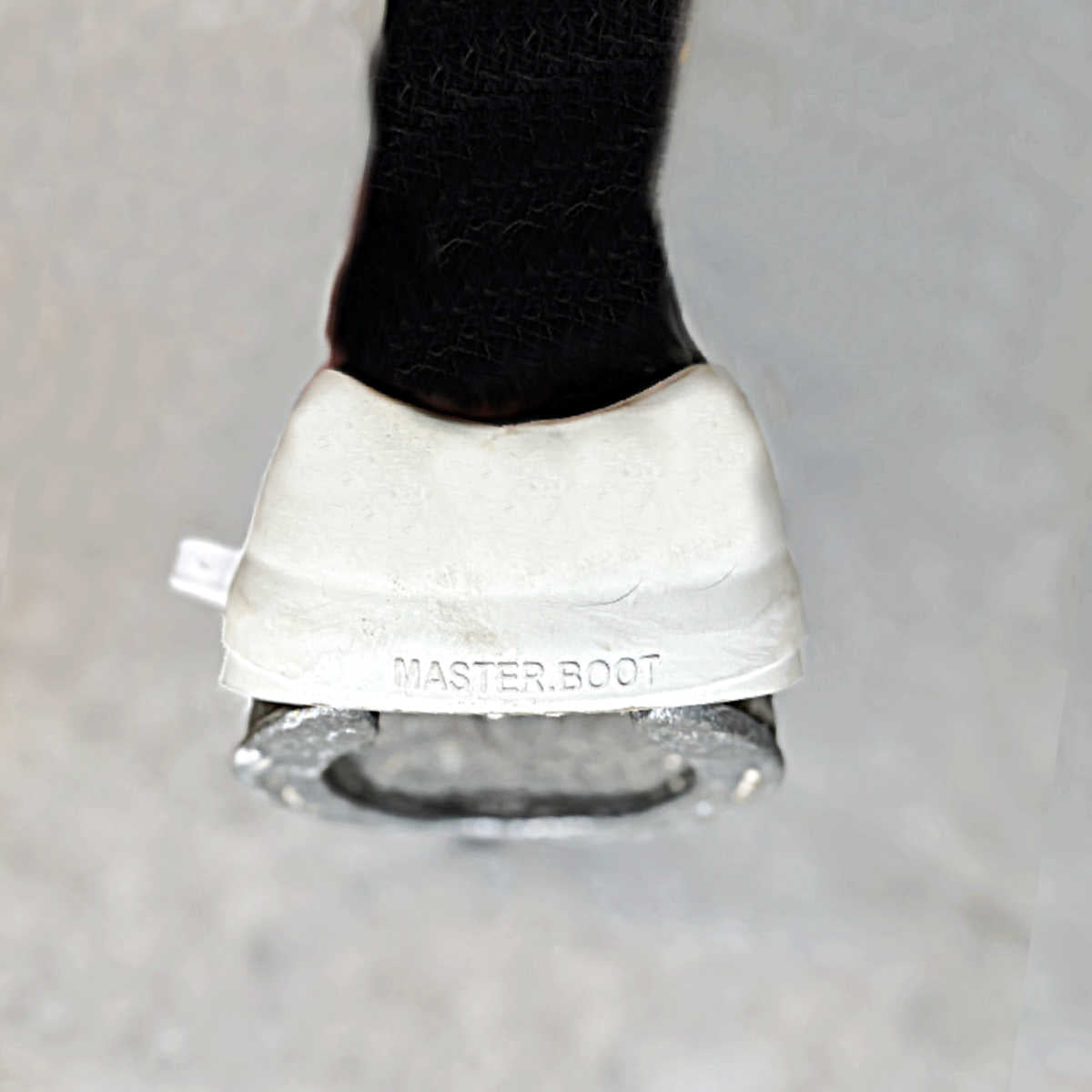 Viktboots Masterboots