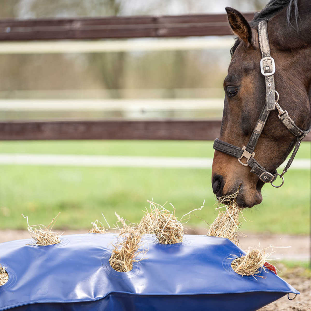 Slowfeeder Hayplay pillow, två storlekar