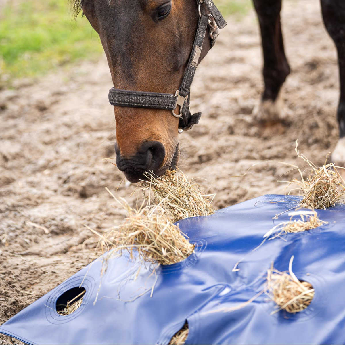 Slowfeeder Hayplay pillow, två storlekar