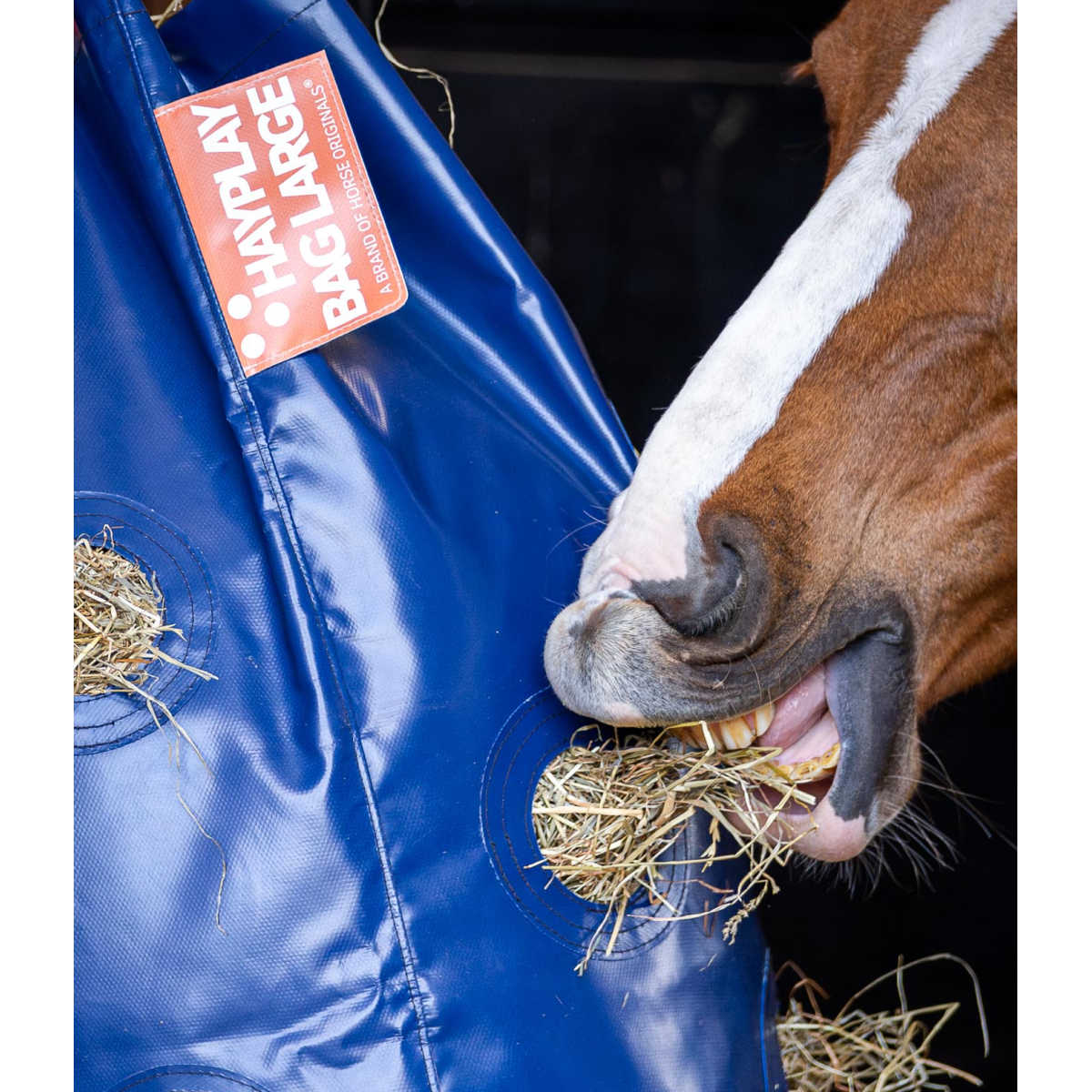 Slowfeeder Hayplay bag, två storlekar