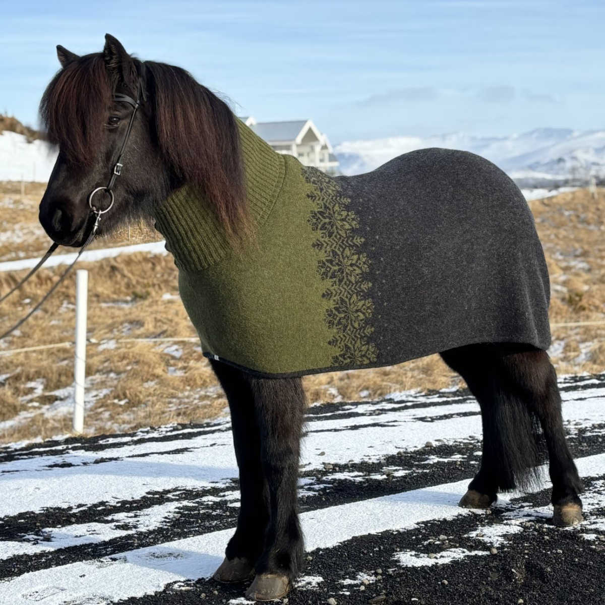 Svetteteppe Turtleneck, i islandsk saueull