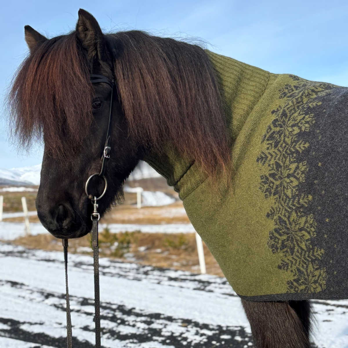 Svetteteppe Turtleneck, i islandsk saueull