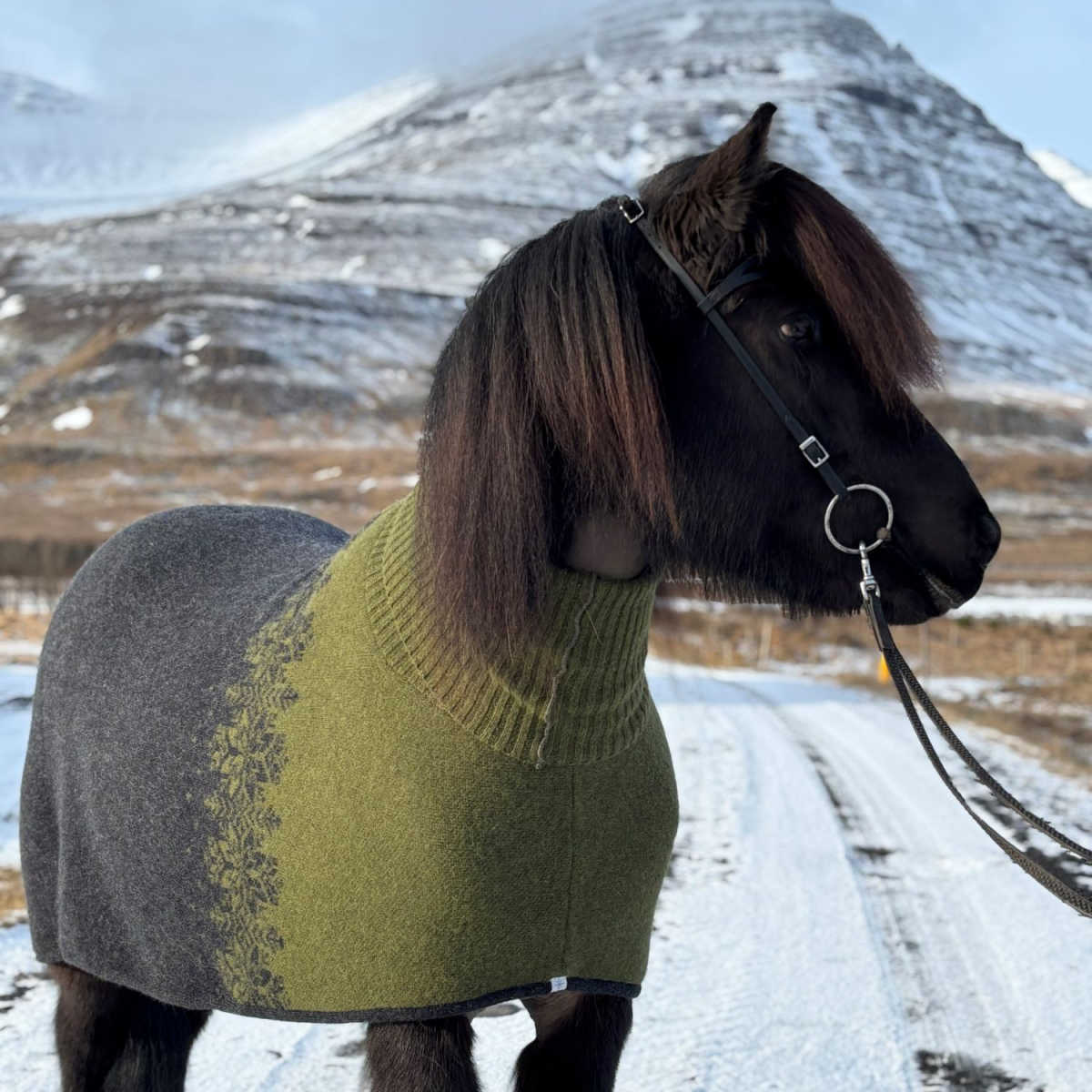 Svetteteppe Turtleneck, i islandsk saueull