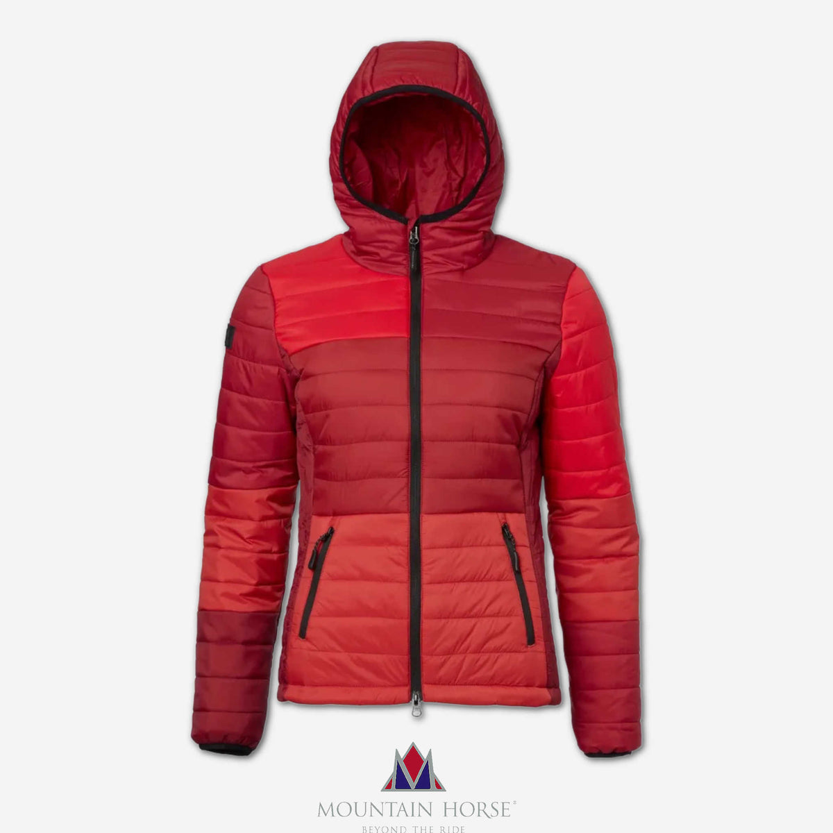 Jacka Mountain Horse Selma