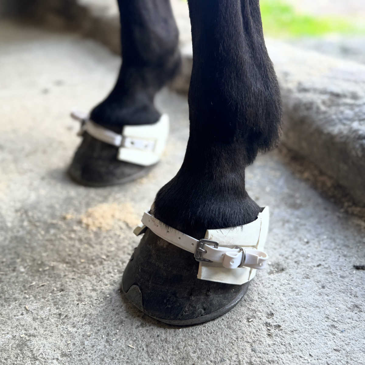 Viktboots Masterboots