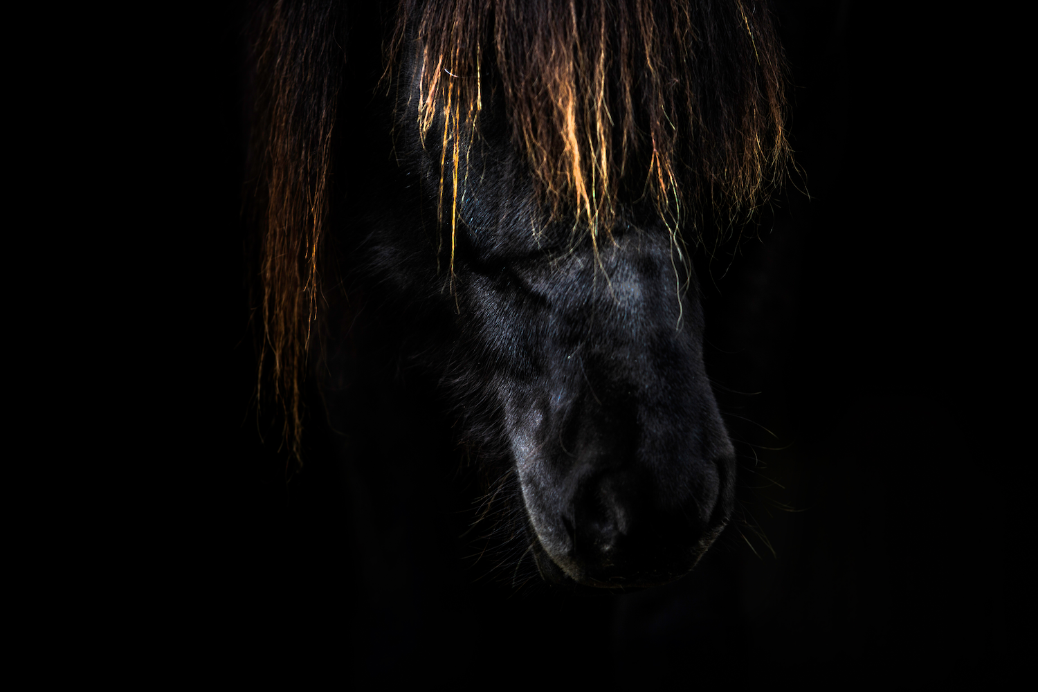 Print - Ansikte - Tölta.se