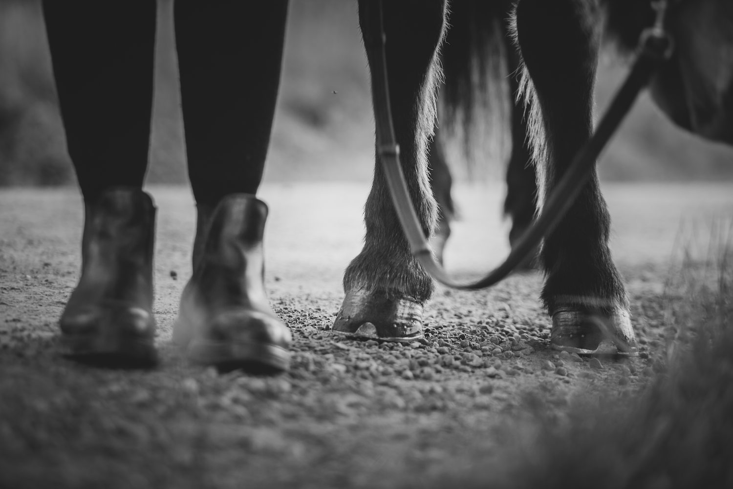 Print - Ben - Tölta.se