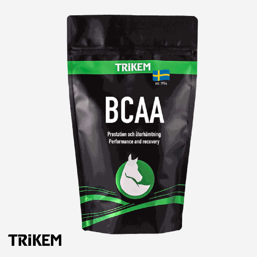 Kosttillskott BCAA, 500 g