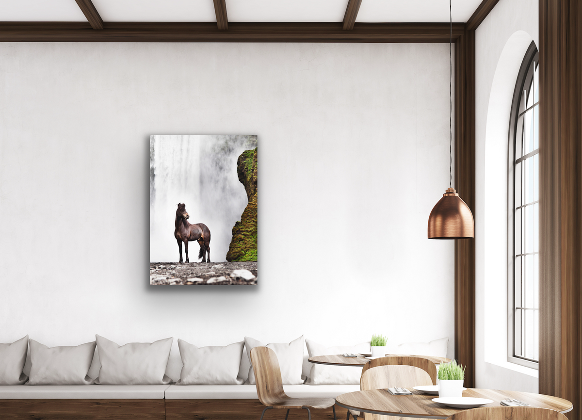 Fine Art print - Häst vid vattenfall