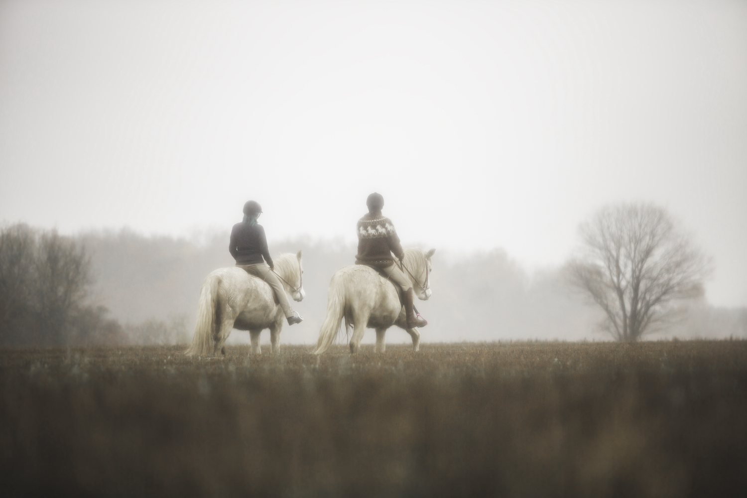 Print -RIdtur i dis - Tölta.se