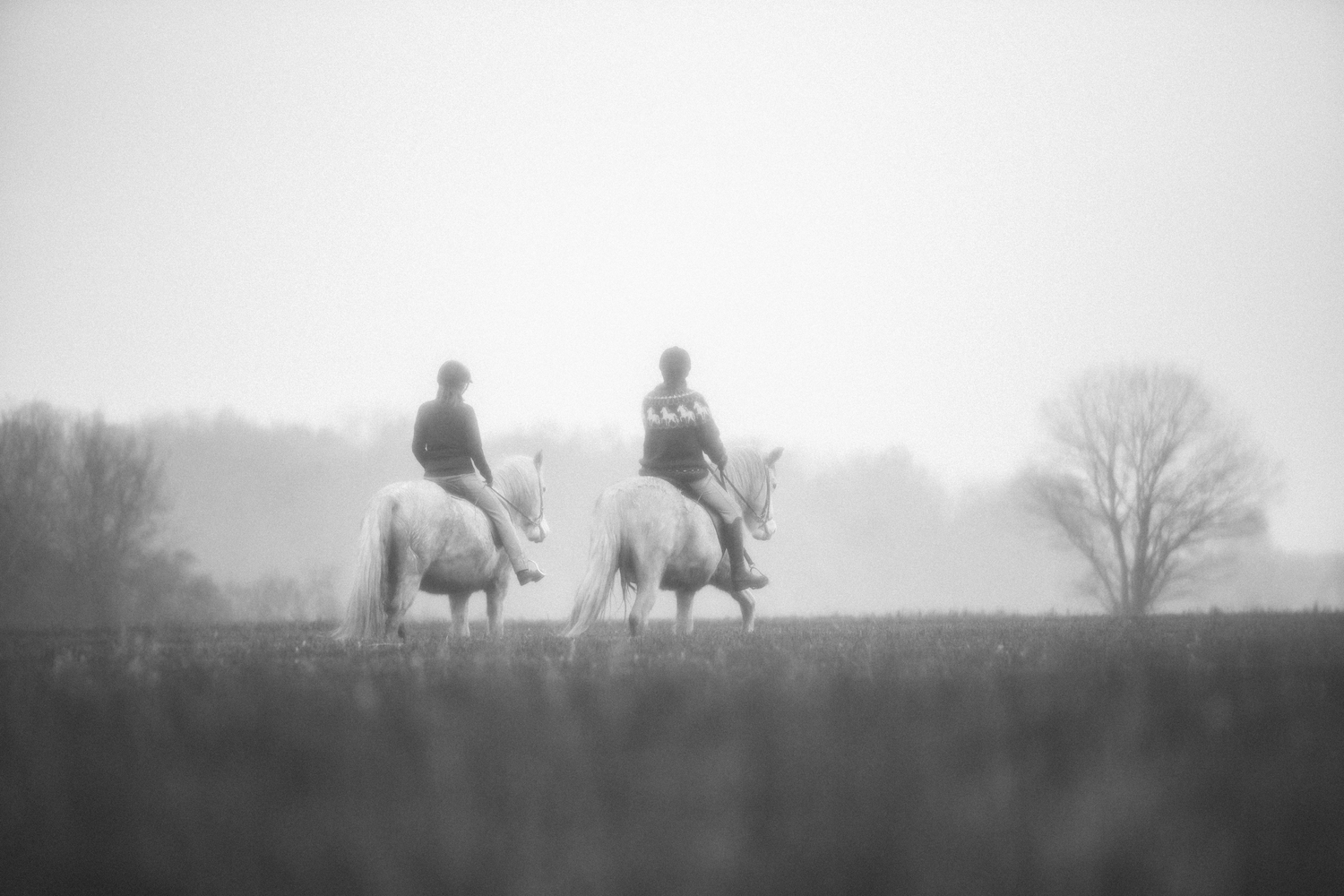 Print - Ridtur i dis - Tölta.se