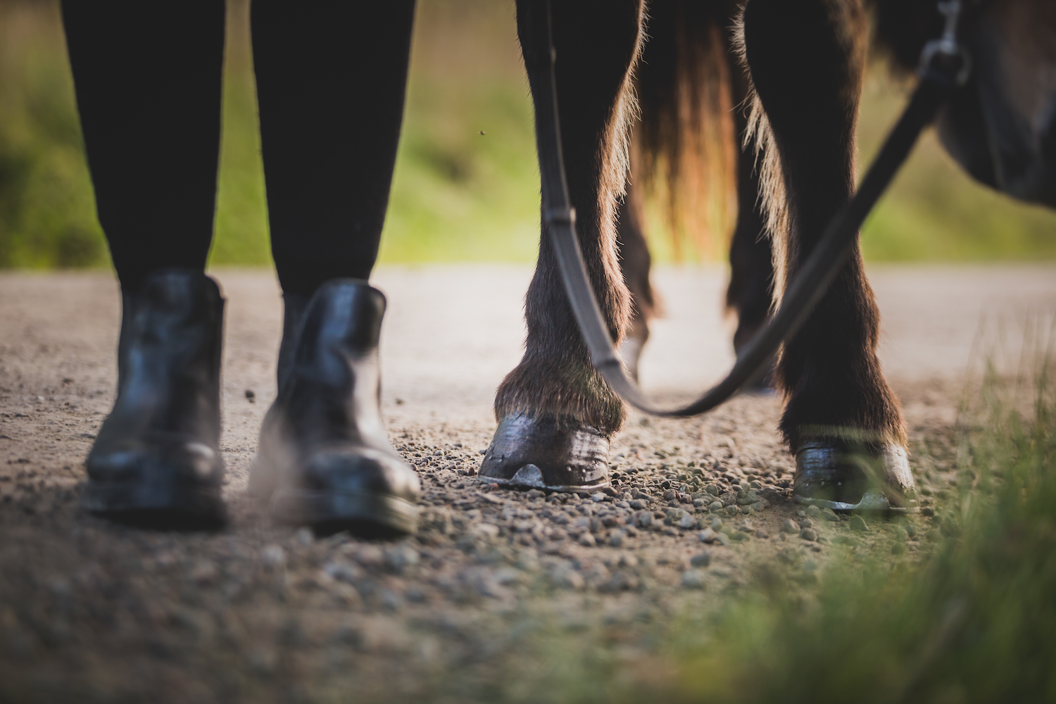 Print -Ben - Tölta.se