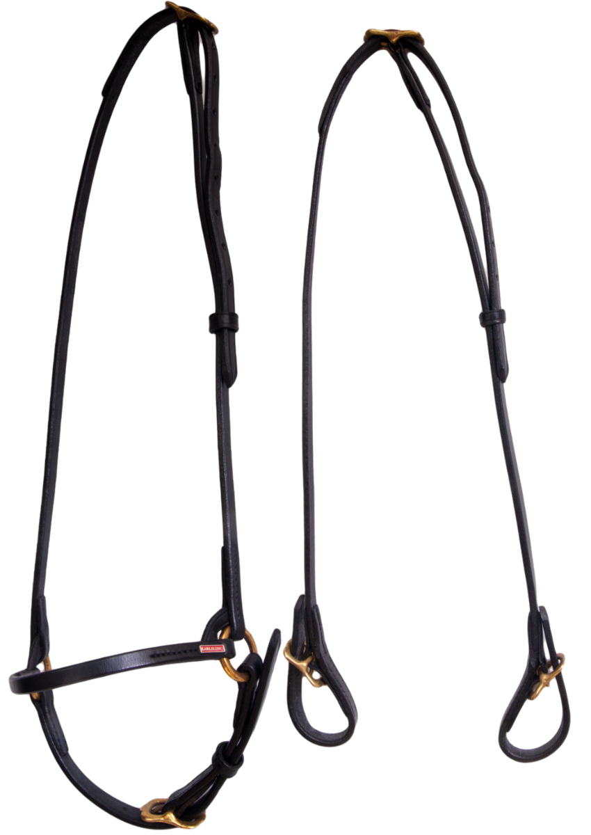 Classic bridle, Black, Brass - Tölta.se