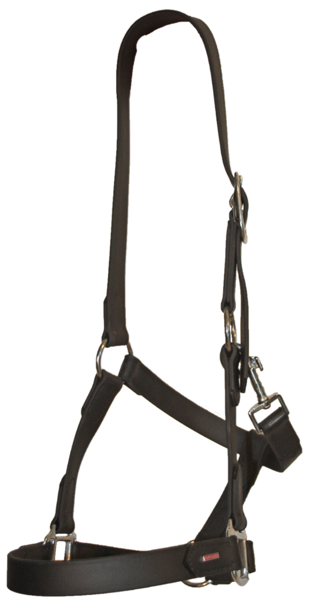 BioThane halter, Black, chrome - Tölta.se