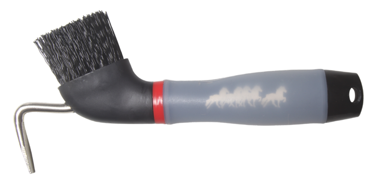 Hovkrats - Tölta.se